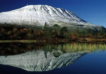 Bakka * Hovin
